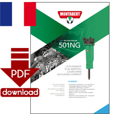 PDF-Download