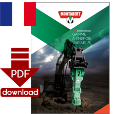 PDF-Download