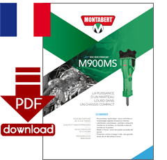 PDF-Download