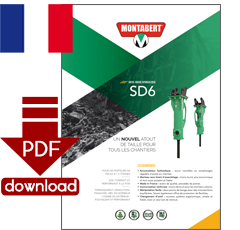 PDF-Download